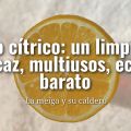 Ácido Cítrico: un Limpiador Eficaz, Multiusos,[...]