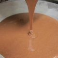 BIZCOCHO DE COCO Y CHOCO