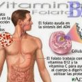 VITAMINA 