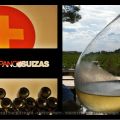 Visita a las Bodegas Hispano+Suizas
