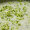 Crema de brócoli