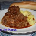 RABO DE TORO