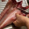VENTRESCA DE BONITO ASADA