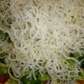 ENSALADA CRUJIENTE DE VERANO CON SANDÍA