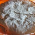 masa madre
