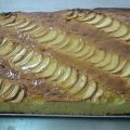 BIZCOCHO DE MANZANA