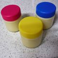 Yogur de Mango
