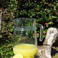 Lemon Curd y resultado del Sorteo !!
