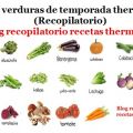 Mayo verduras de temporada thermomix[...]