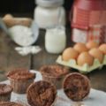 Pastelitos de Yogur y chocolate Valor