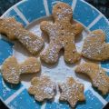 GALLETAS DE XENXIBRE