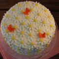 Daisy ombre cake