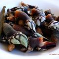 PERCEBES (MENÚ DE CINE)