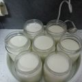 Yogur blanco azucarado en thermomix y yogurtera