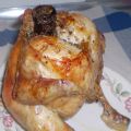 Pollo sentado