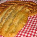 Pan Barbari iraní