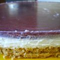 Tarta de Mousse de Yogur con Mermelada de Moras