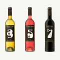 PRESENTACION DE UNOS VINOS