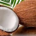 PROPIEDADES DEL COCO
