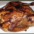 Pollo al horno (giratorio)