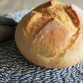 Pan pirex