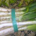 Calçots -  Salsa Romesco