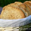 BISCOTES INTEGRALES CON SEMILLAS