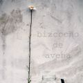 Bizcocho de salvado de avena con pepitas de[...]