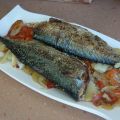 Caballa al horno