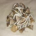Saquitos de gulas y setas
