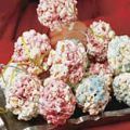 Bolitas de palomitas con malvaviscos y gelatina