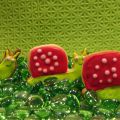 caracoles y erizos