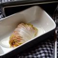 Dolma