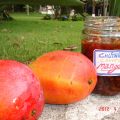 CHUTNEY de mangos. RECETA 1.