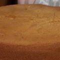 Pastel de carne con pure de papa
