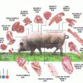 Presa Ibérica