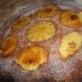 BIZCOCHO INTEGRAL DE MANZANA Y COCO