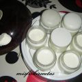 Yogur griego casero (con yogurtera)