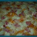 Nachos con queso