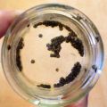 CAVIAR IRANÍ