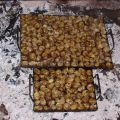 Caracoles 