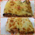 Canelones de berenjena y de tortillas[...]