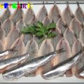 Boquerones en vinagre