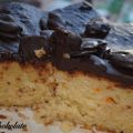 Bizcocho de Naranja cubierto de Chocolate