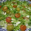 Ensalada con Brotes de lentejas