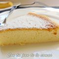 PASTEL DE QUESO Y CHOCOLATE BLANCO (Pastel[...]