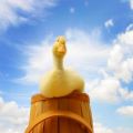 La edad del pato