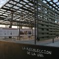 Descubriendo las virtudes del primer mosto[...]