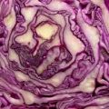 CONSEJO DE ALIMENTOS : COL LOMBARDA