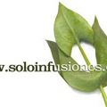 OTROS PRODUCTOS DE SOLOINFUSIONES